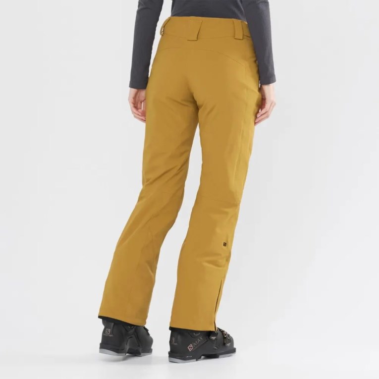 Brown Salomon The Brilliant Women's Ski Pants | IE SD8430